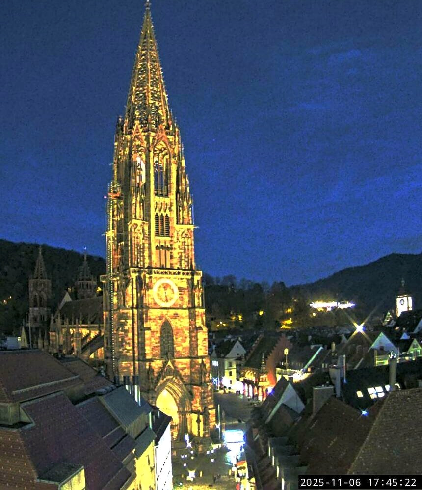 Freiburger Münster